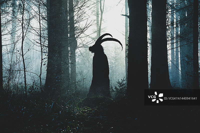 异教有角山羊的奇幻概念，冬季阴森森林中的逆光剪影图片素材