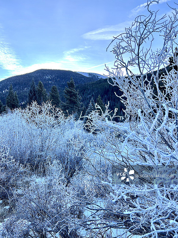 科罗拉多州的冰冻景观图片素材