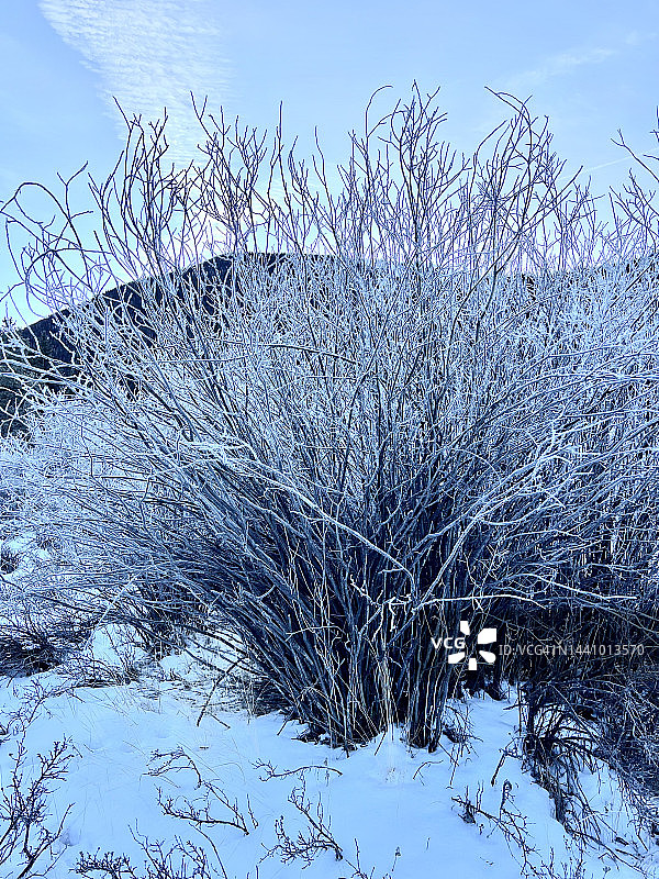 科罗拉多州的冰冻景观图片素材