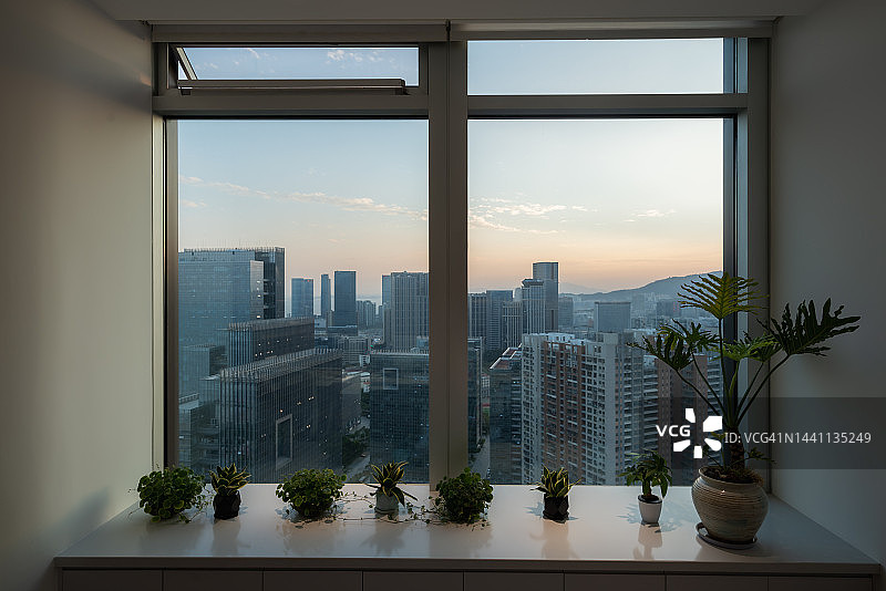 摆满盆栽植物的绿色窗台图片素材