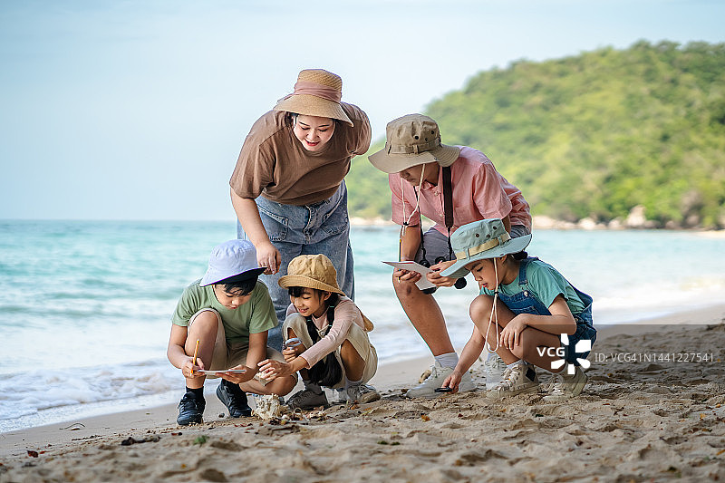 老师带学生海滩学习海洋动物图片素材