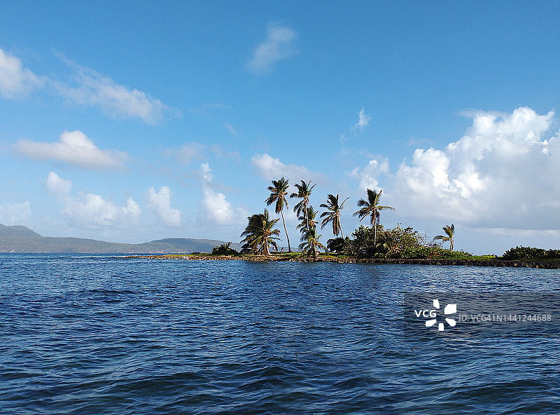 拥有椰子树的孤岛图片素材