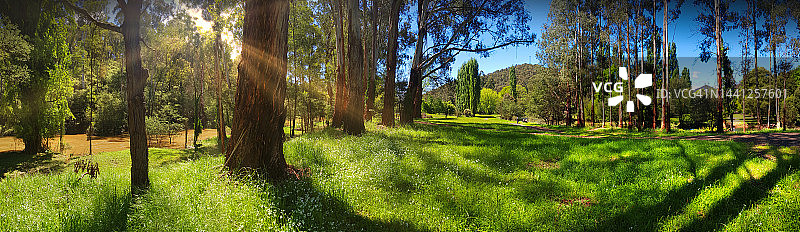 澳大利亚维多利亚州贾米森古尔本河图片素材