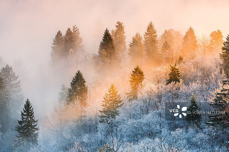 斯洛文尼亚布莱德湖日出美景图片素材