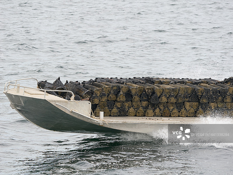 在南澳大利亚用于牡蛎采收的平底船图片素材