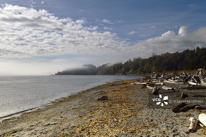 温哥华岛萨尼奇半岛海岛观景海滩图片素材