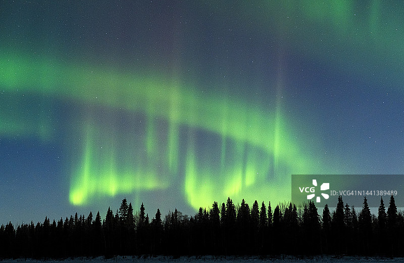 星空下的树木与北极光图片素材