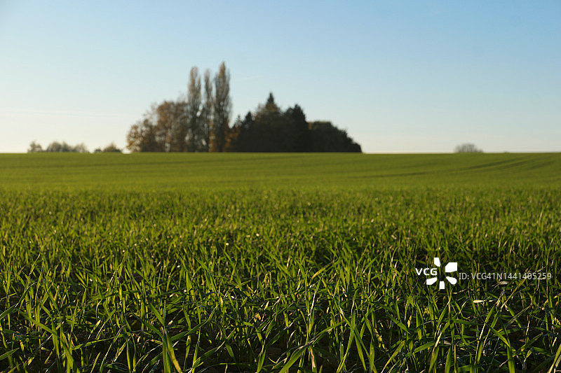 秋季宣传banner图片素材