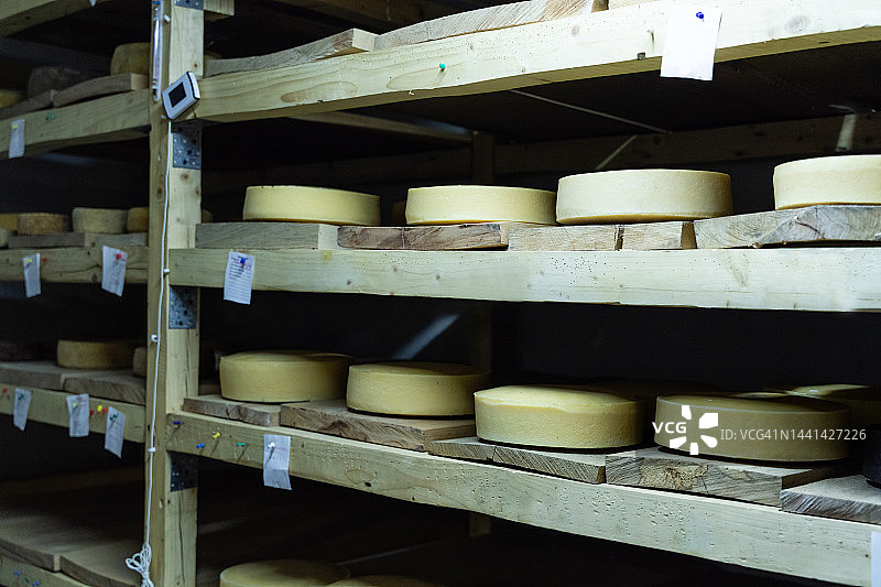 奶酪工厂的奶酪库存图片素材