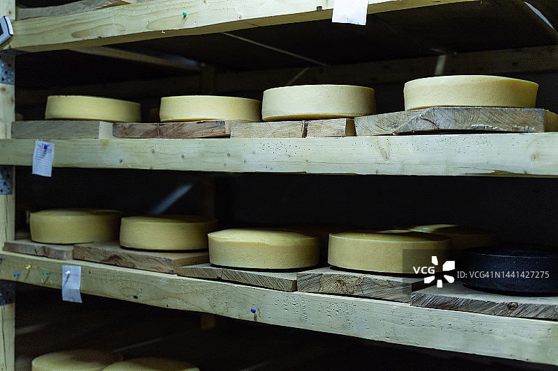 奶酪工厂的奶酪库存图片素材