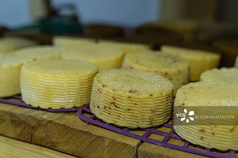 奶酪工厂的奶酪库存图片素材
