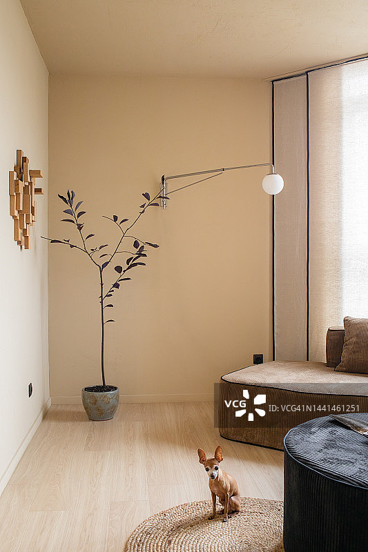 公寓设计：客厅图片素材