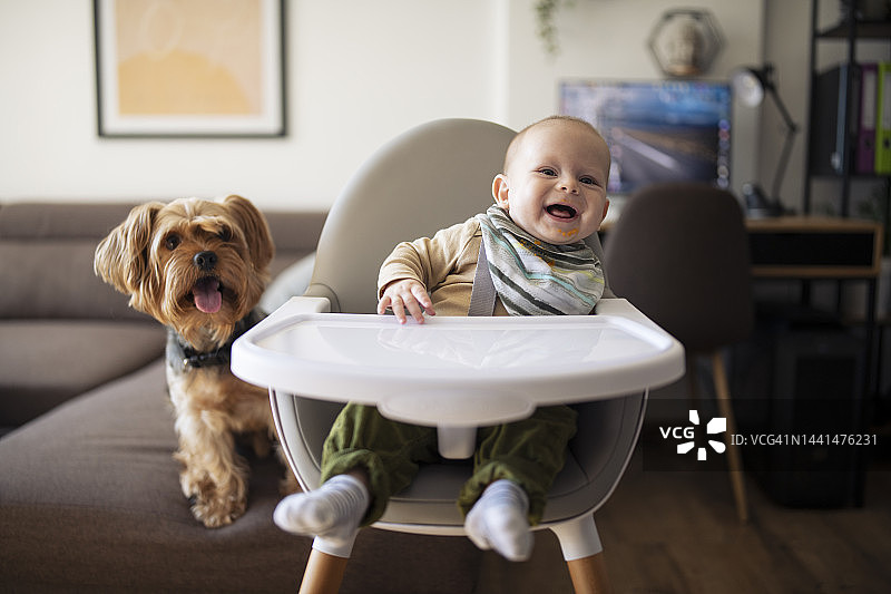 坐在高脚椅上等待喂食的婴儿图片素材