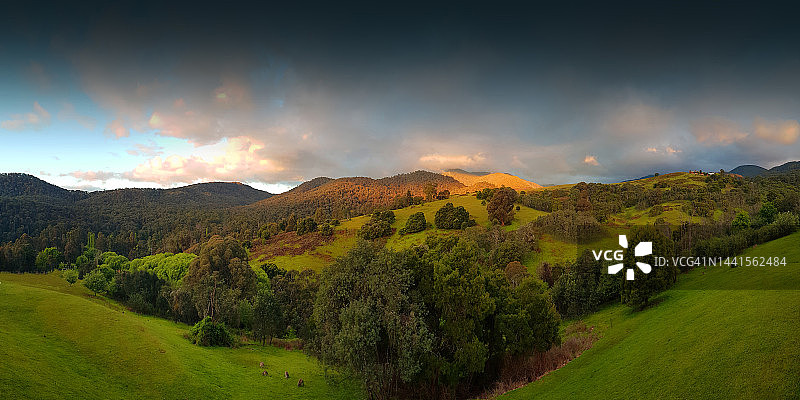 澳大利亚维多利亚州曼斯菲尔德山区群山的黄昏图片素材