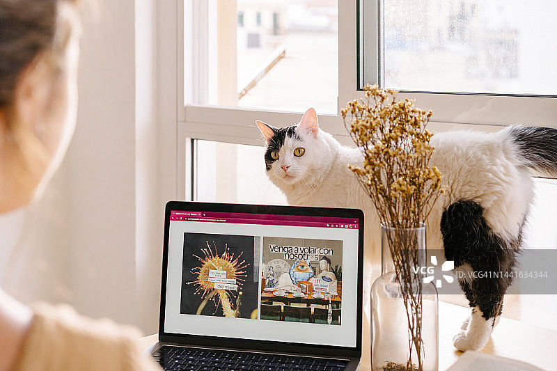 猫咪看着在家庭办公室用笔记本电脑工作的平面设计师图片素材