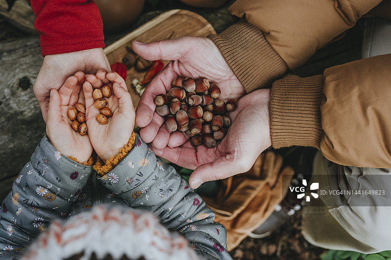 祖父母和孙女手中握着榛子图片素材