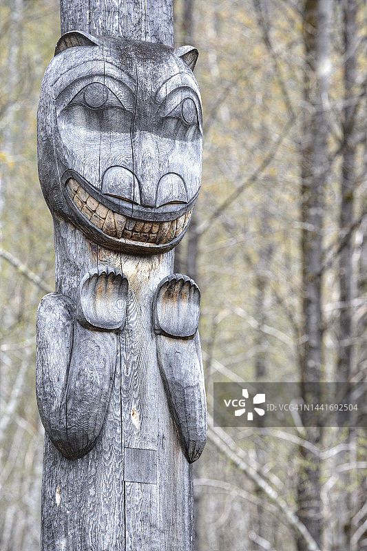 荒野场景中的图腾柱图片素材