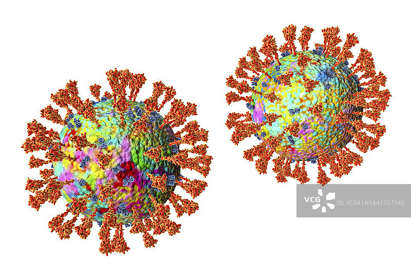 冠状病毒颗粒，插图图片素材