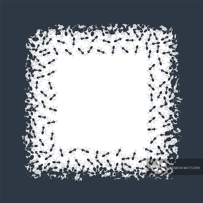 蚂蚁群落，概念插图图片素材