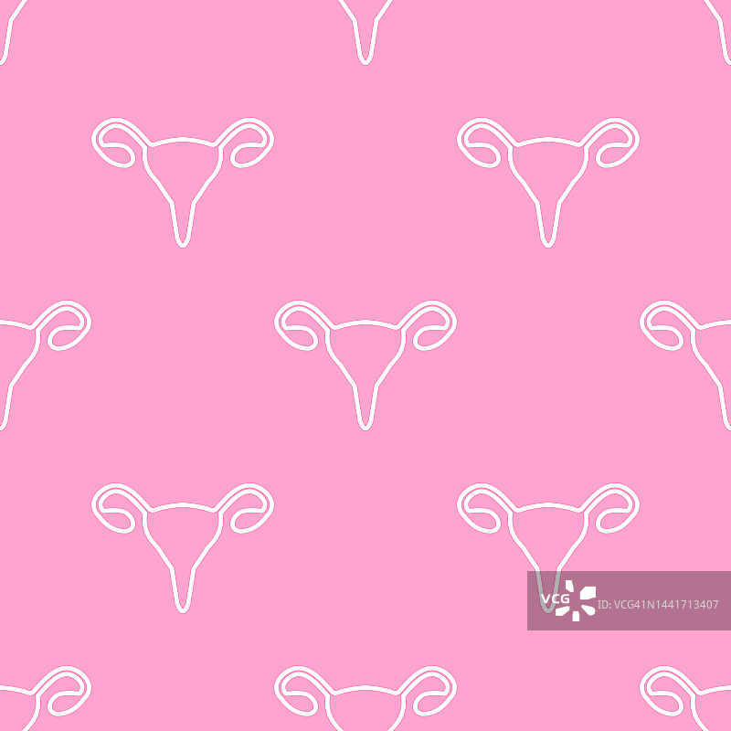 女性生殖系统概念图图片素材