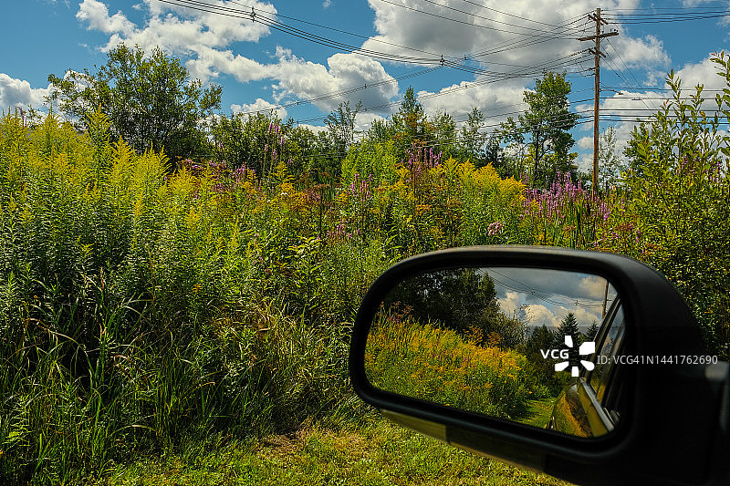 反射野花田图片素材