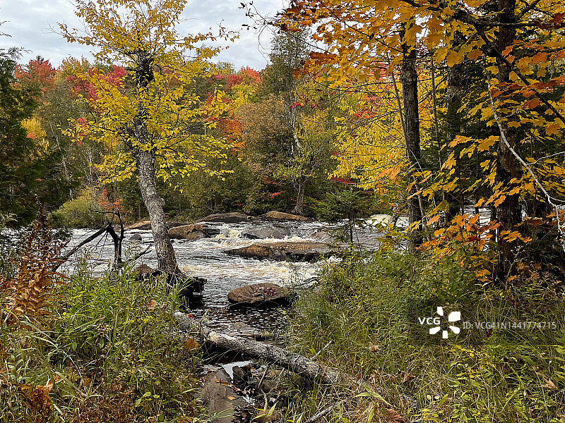 透过树木看格拉斯河图片素材