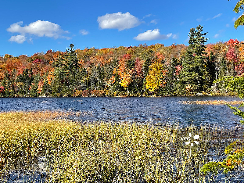 马蹄湖的秋色图片素材