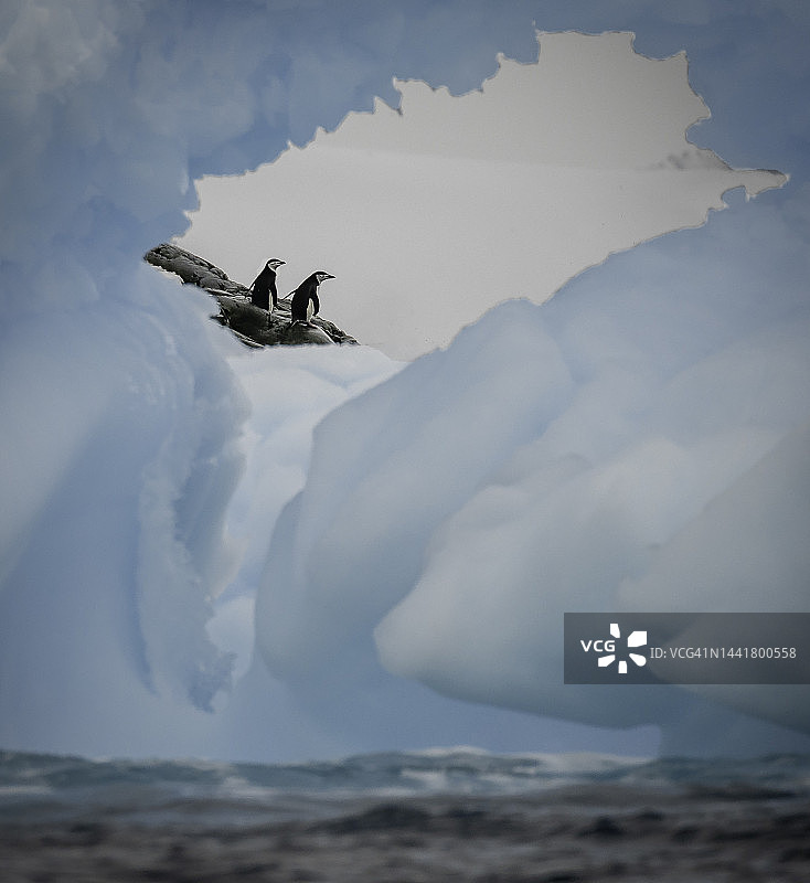 南极半岛：帽带企鹅观察部分融化的冰山图片素材