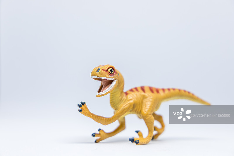 霸王龙特写图片素材