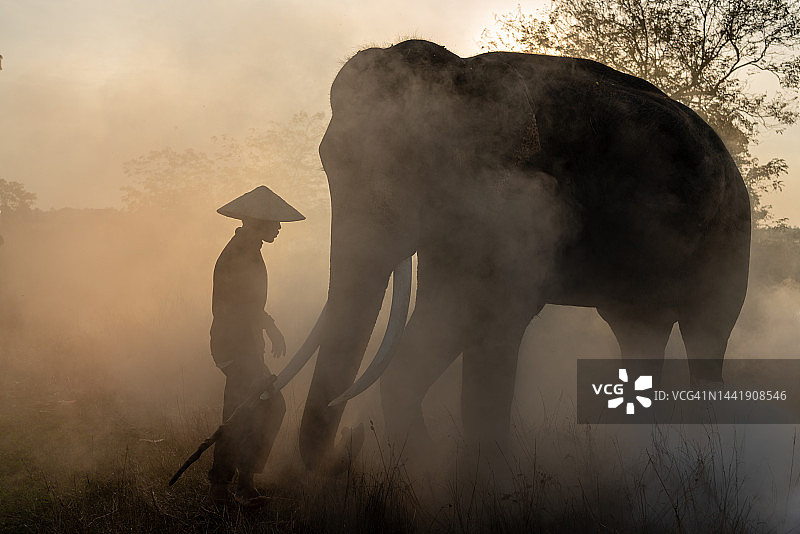 烟雾中的象夫和大象图片素材