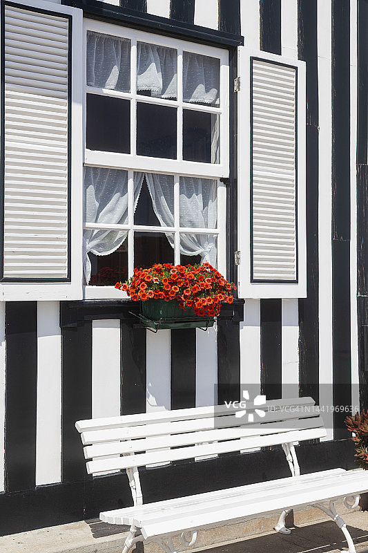 阿威罗新海岸典型的彩色房屋外墙图片素材