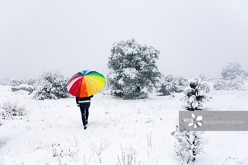 在下雪的森林里打着彩色雨伞的女人图片素材