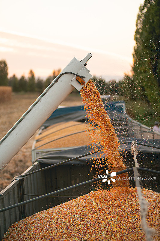 玉米收割机图片素材