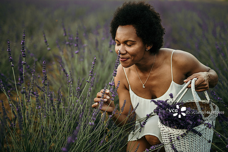 制作一束花图片素材