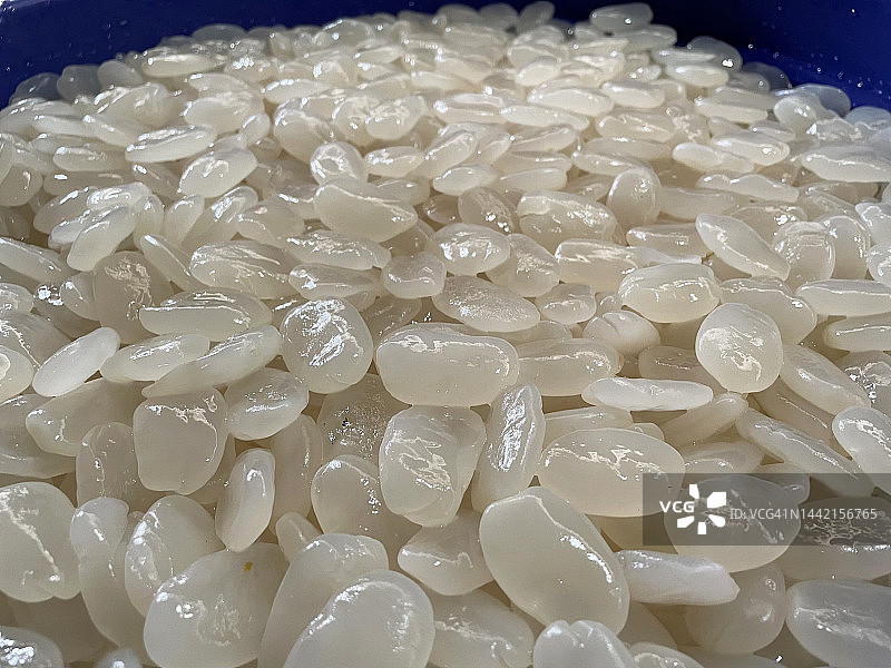 棕榈籽图片素材