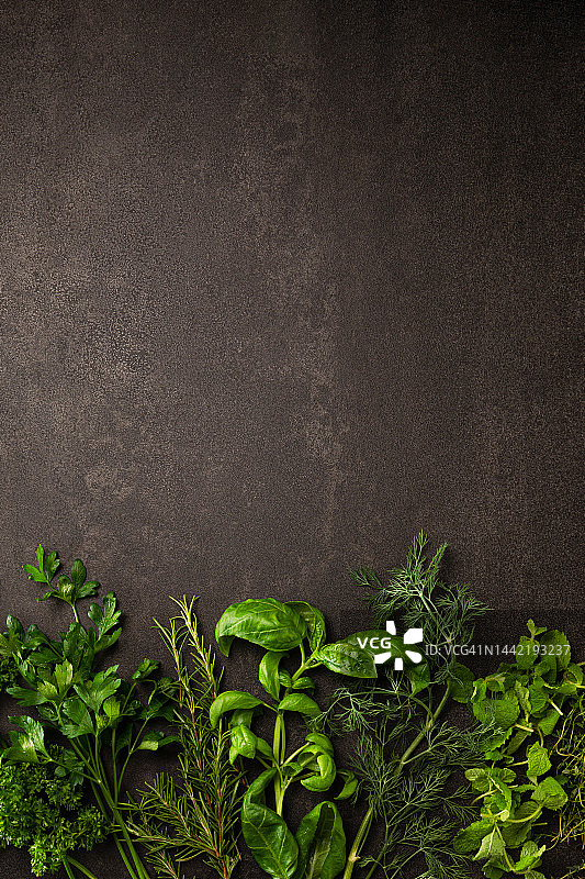 草本植物，草本叶子，草本合集，天然草本图片素材