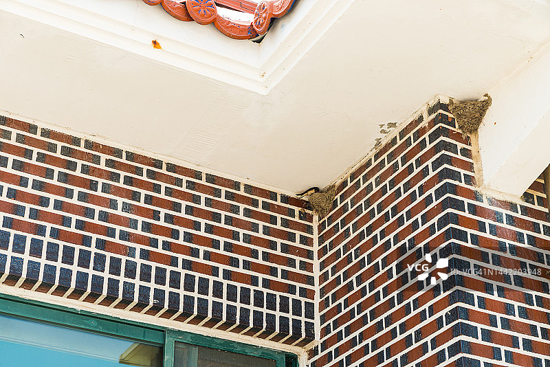 Juk Isalnd燕子图片素材