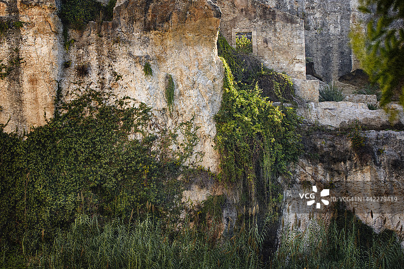 西西里锡拉库扎古希腊墙壁与茂盛的树叶图片素材
