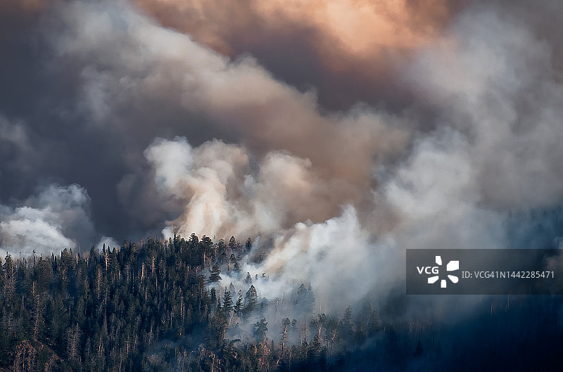 野火浓烟笼罩的森林图片素材