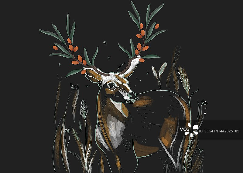黑色背景上的鹿插画图片素材