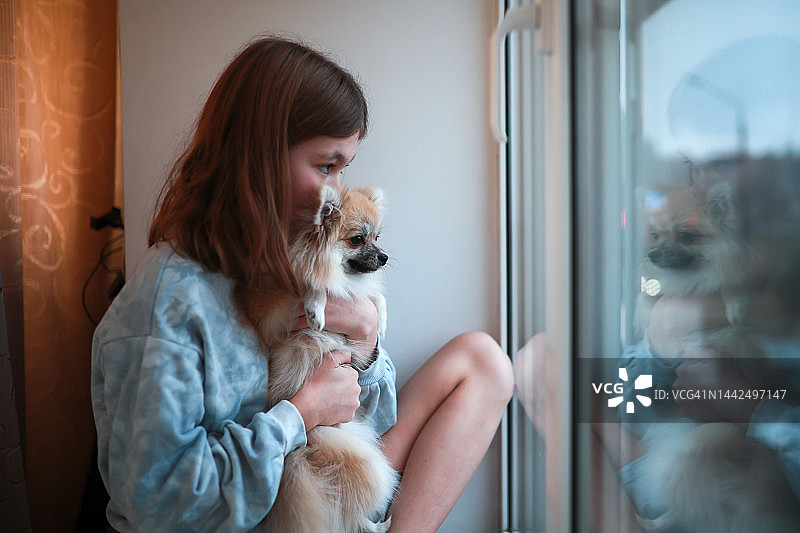 青少年亲吻和拥抱桃色尖嘴犬，从窗户往外看。宁静的人们。图片素材