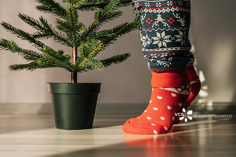 圣诞树附近的儿童的腿，新年和圣诞节的概念图片素材