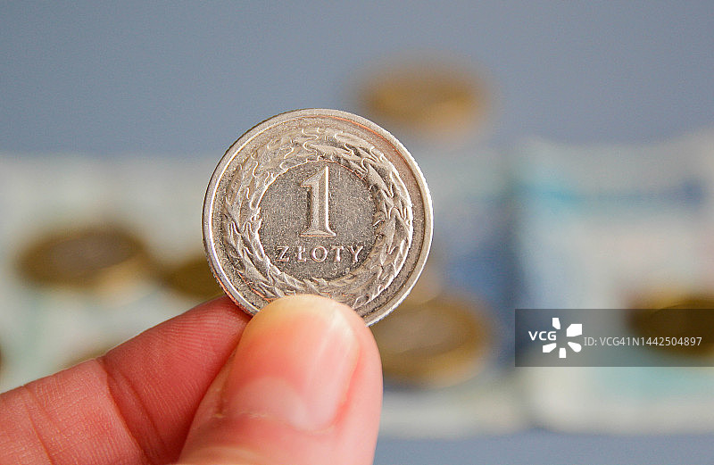 1波兰币图片素材