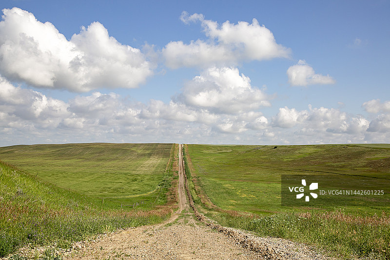 一条穿过农田的土路图片素材