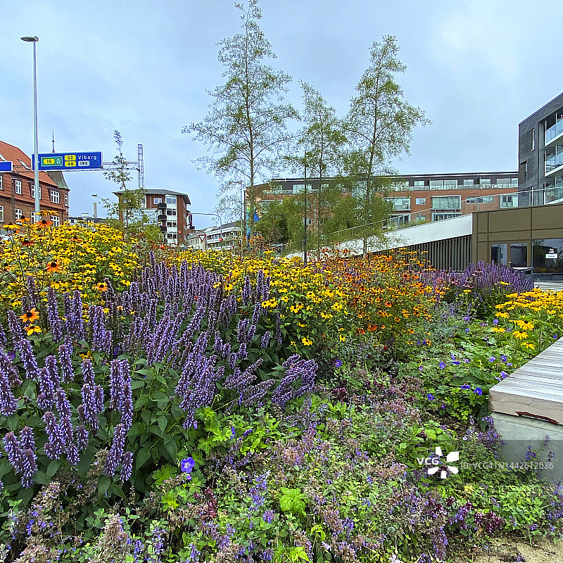 丹麦锡尔克堡市中心图片素材