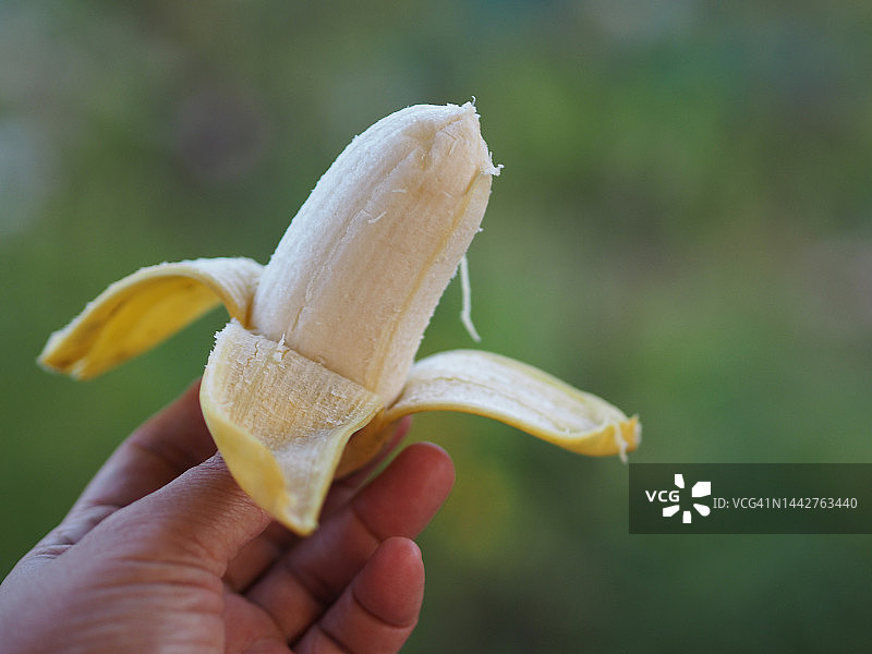 手拿香蕉皮吃香蕉图片素材