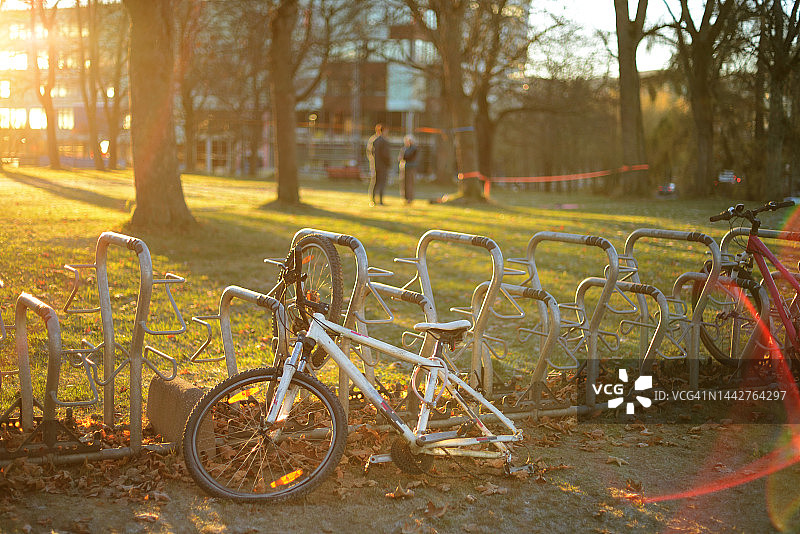 公园停车场里的两辆自行车图片素材