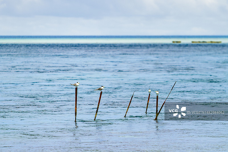 兰吉罗阿环礁图片素材