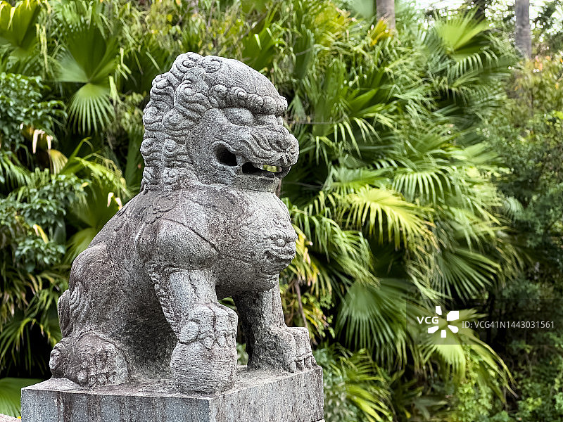 中式园林中的石狮图片素材