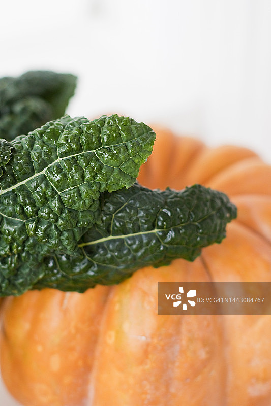 橙色南瓜和黑色羽衣甘蓝叶图片素材